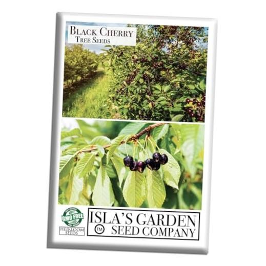 Black Cherry Tree Seeds (Prunus serotina, Wild Black Cherry) – 25+ Non-GMO &