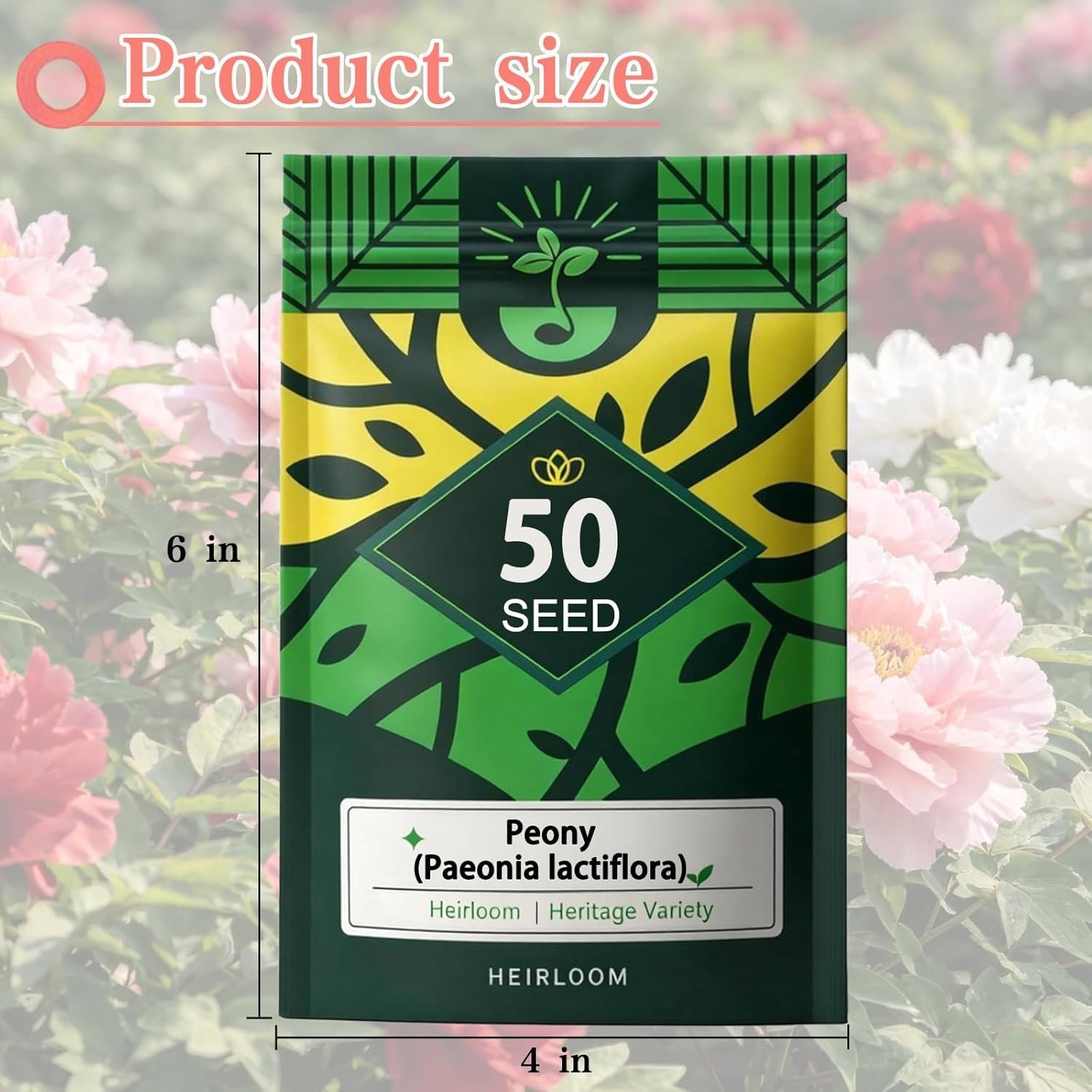 Pack of 50 Heirloom Peony Seeds – Breathtaking Fragrant Blooms for Your Garden