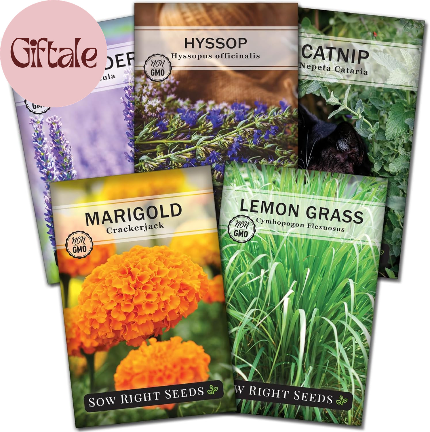 – Insect & Pest Repellent Seed Collection for Planting – Lavender, Catnip, Marig