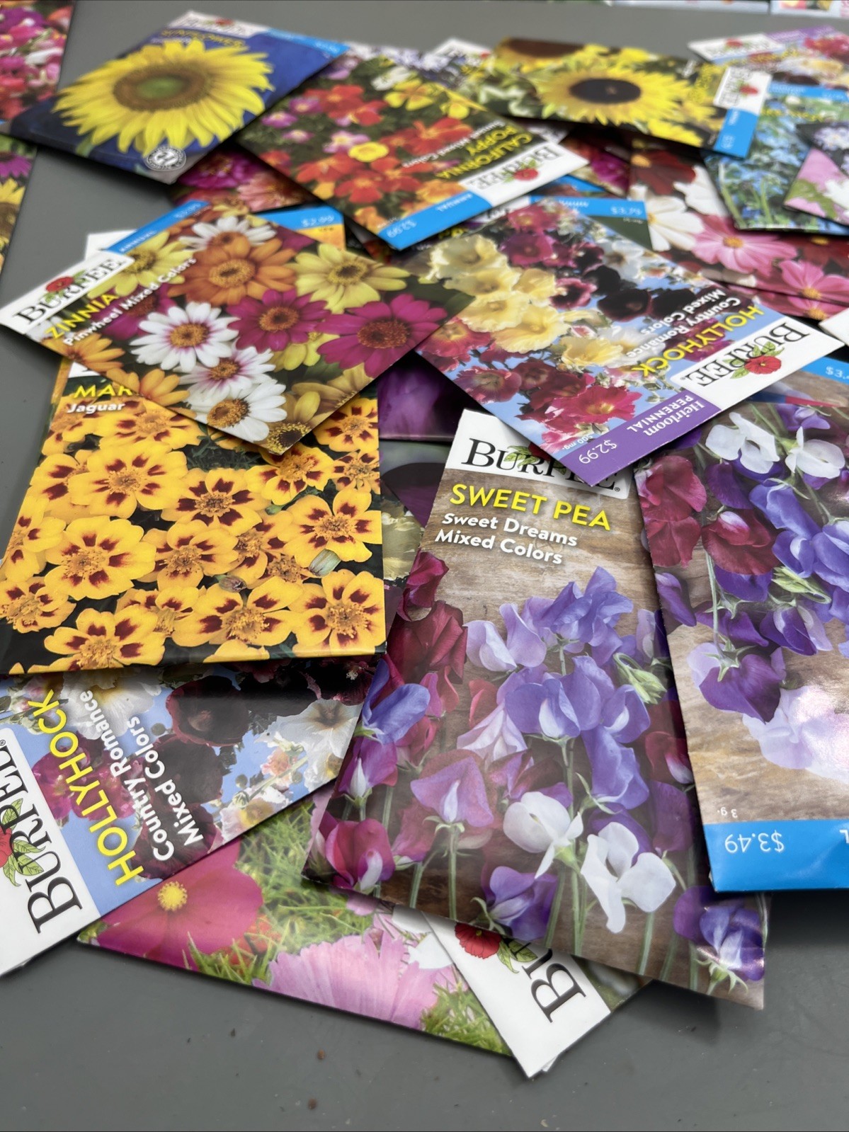 Flowers annual perennial Plant Seeds (Assorted Lot of 100) sell by 11/26 Garden