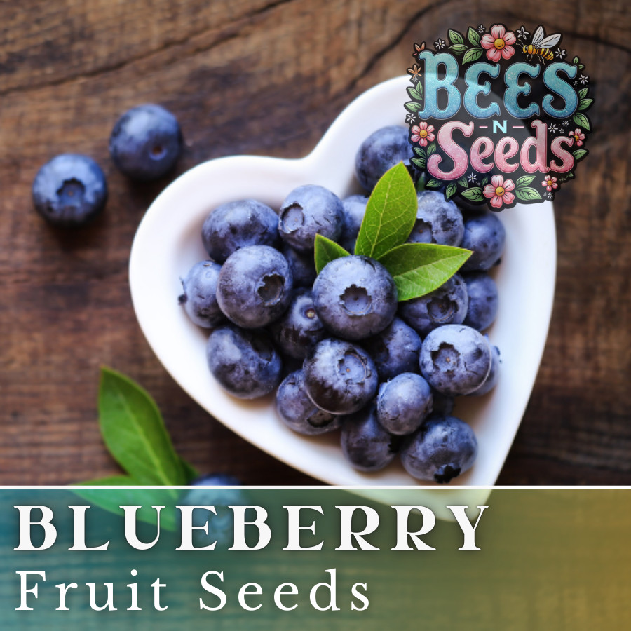Blueberry Seeds 200, 750 or 3,200 Seeds Fruit Seeds, Non GMO, Bulk Seeds, Berry