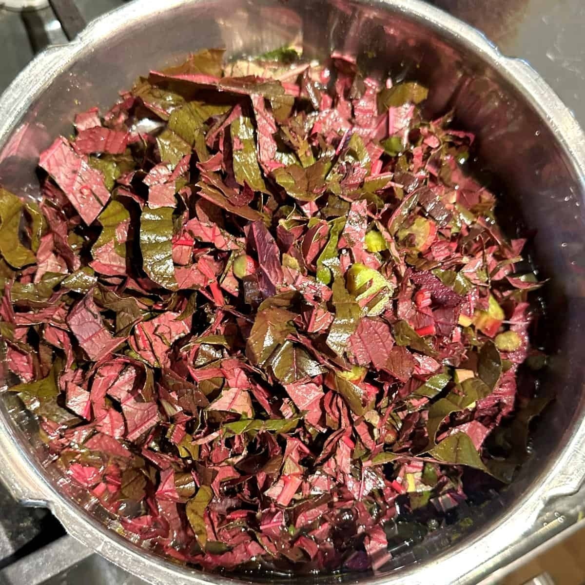 Red Garnet Sprouting Amaranth Herb Seeds 500 – 160,000 Supergrain – Microgreens