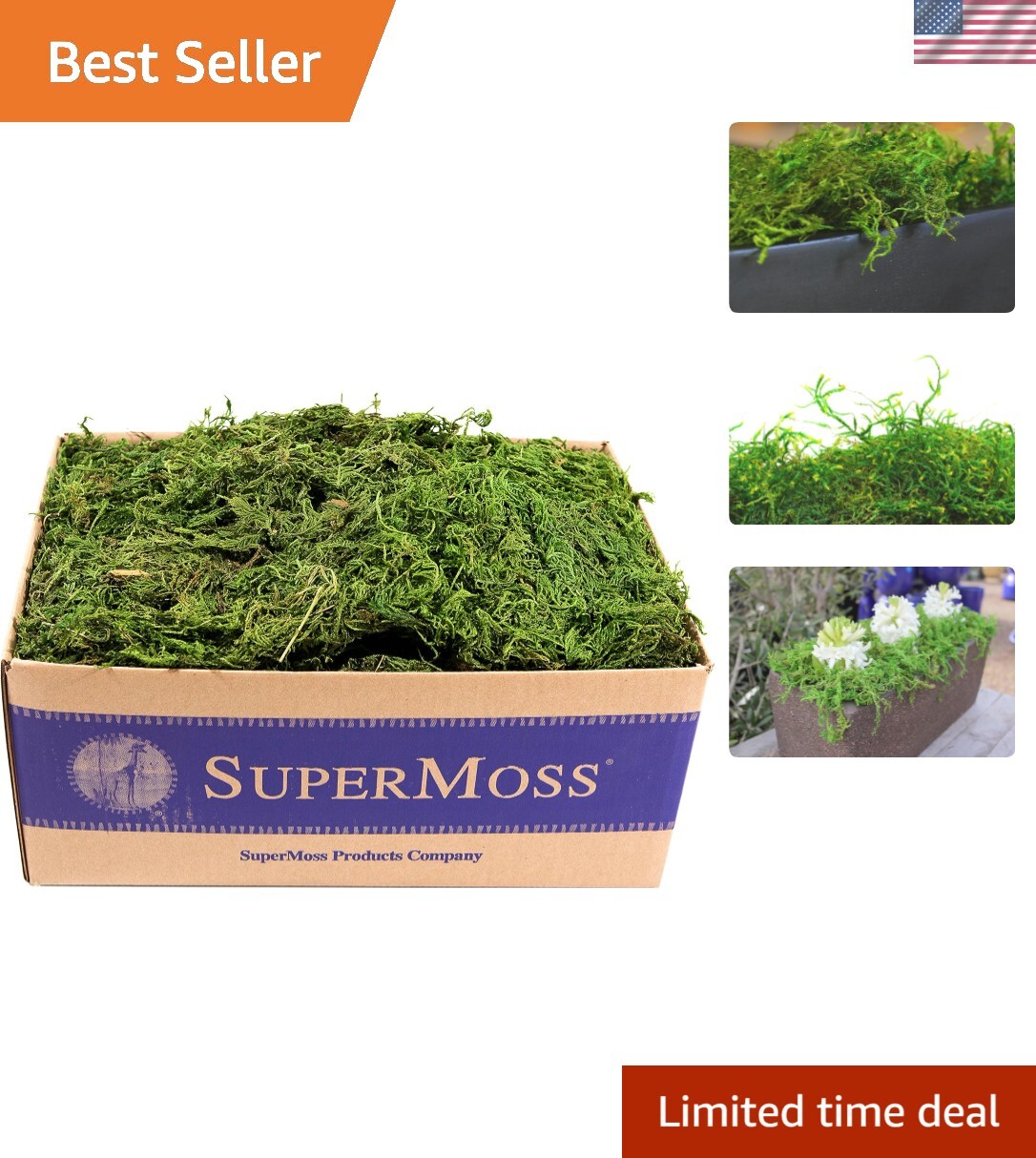 Forest Moss Preserved, Fresh Green, 3 Pounds