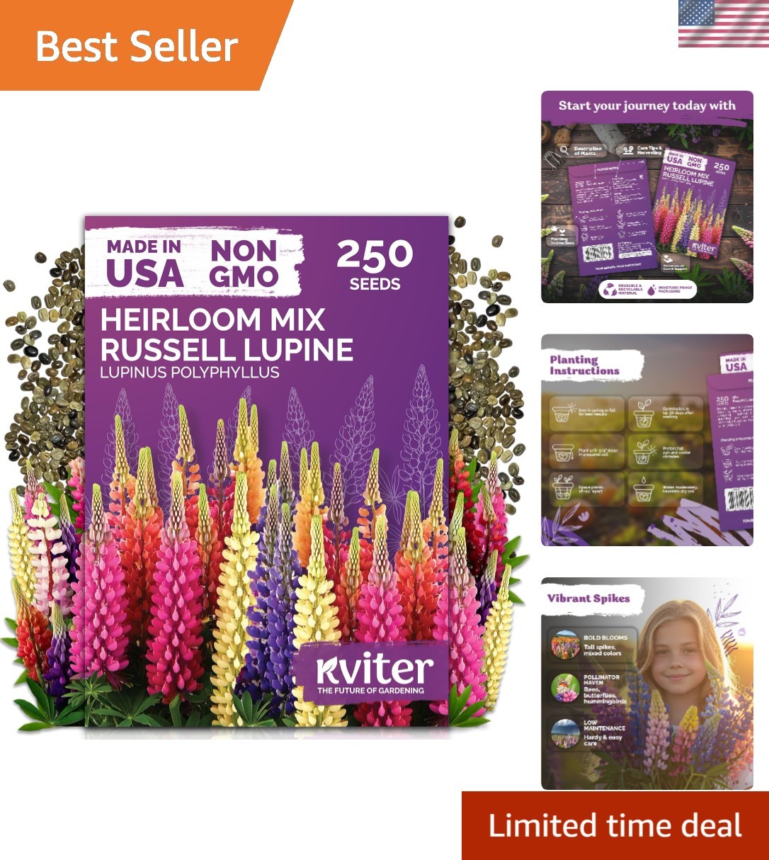 250 Heirloom Russell Lupine Seeds – Vibrant Pollinator-Friendly Wildflowers