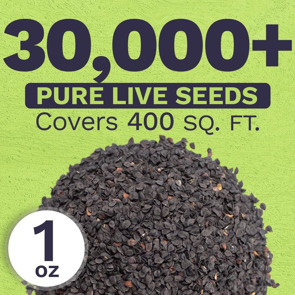 30000 Semillas de Flores Dianthus Barbatus Rosas Mix No GMO Paquete de 1 oz