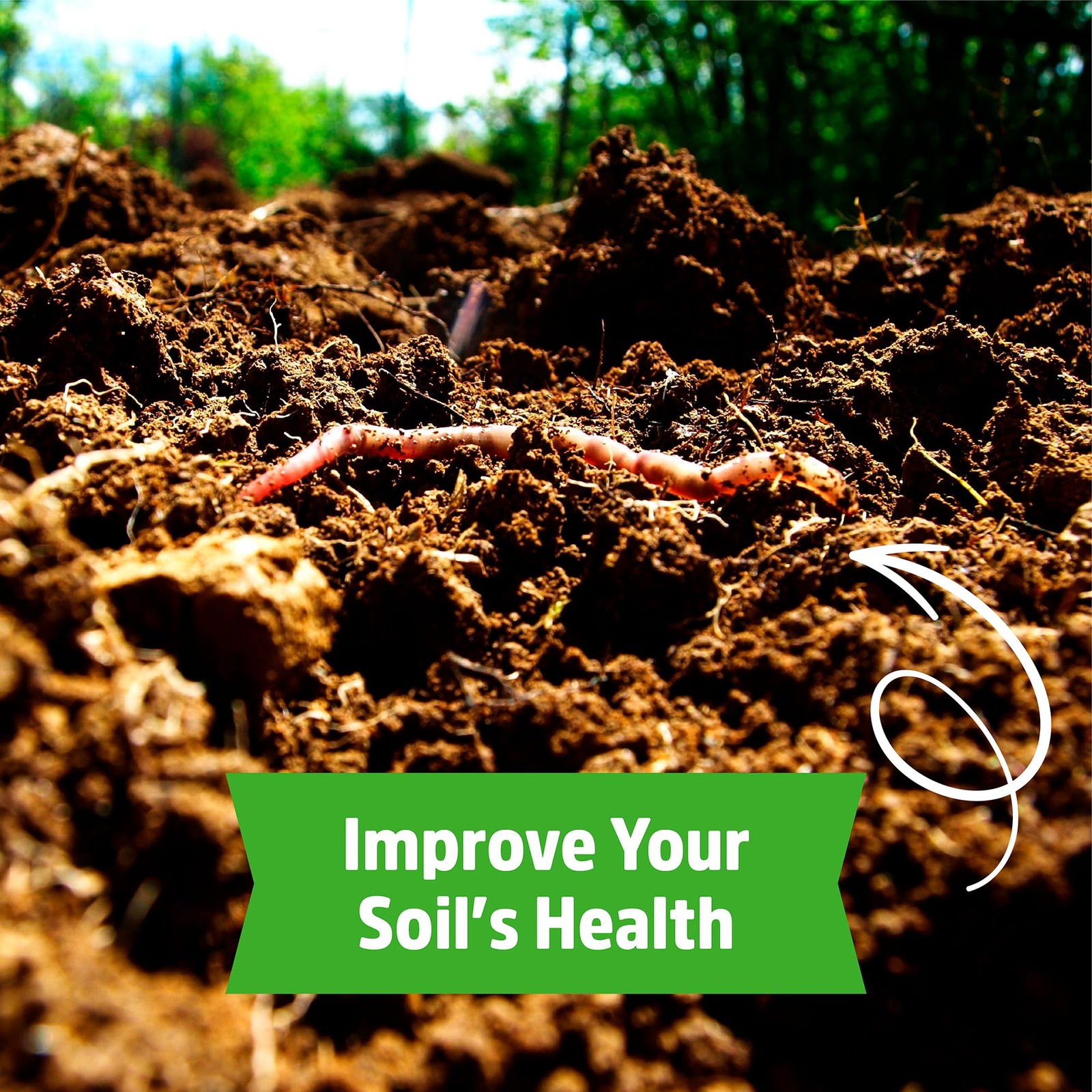 Back To The Roots 100 Organic Soybean Cover Crop Seeds Covers 1000 Sq. Ft.