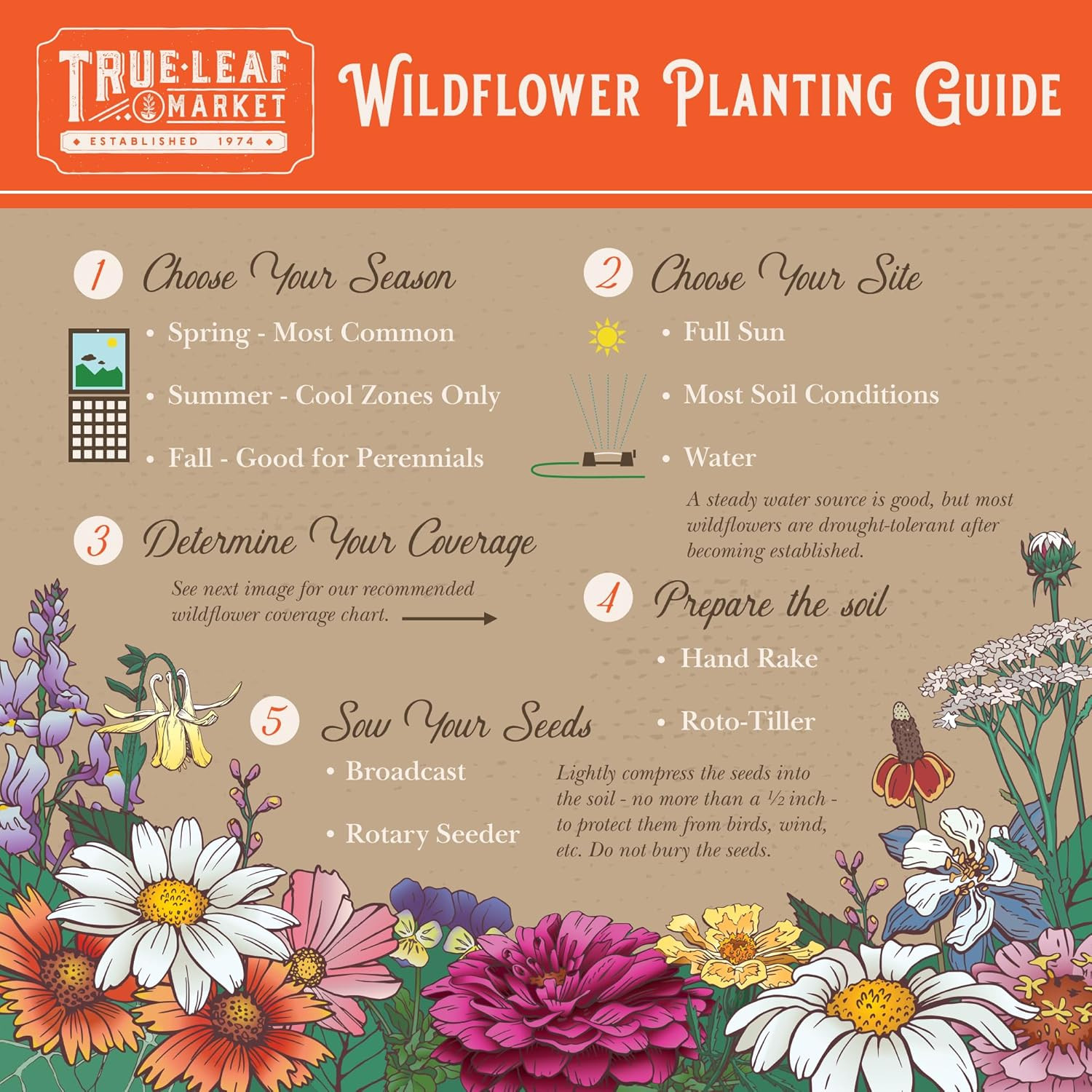 Wildflower Seeds Bulk, Oz. 80,000+ Seeds – save the Bees Mix with 19 Non-Gmo Va