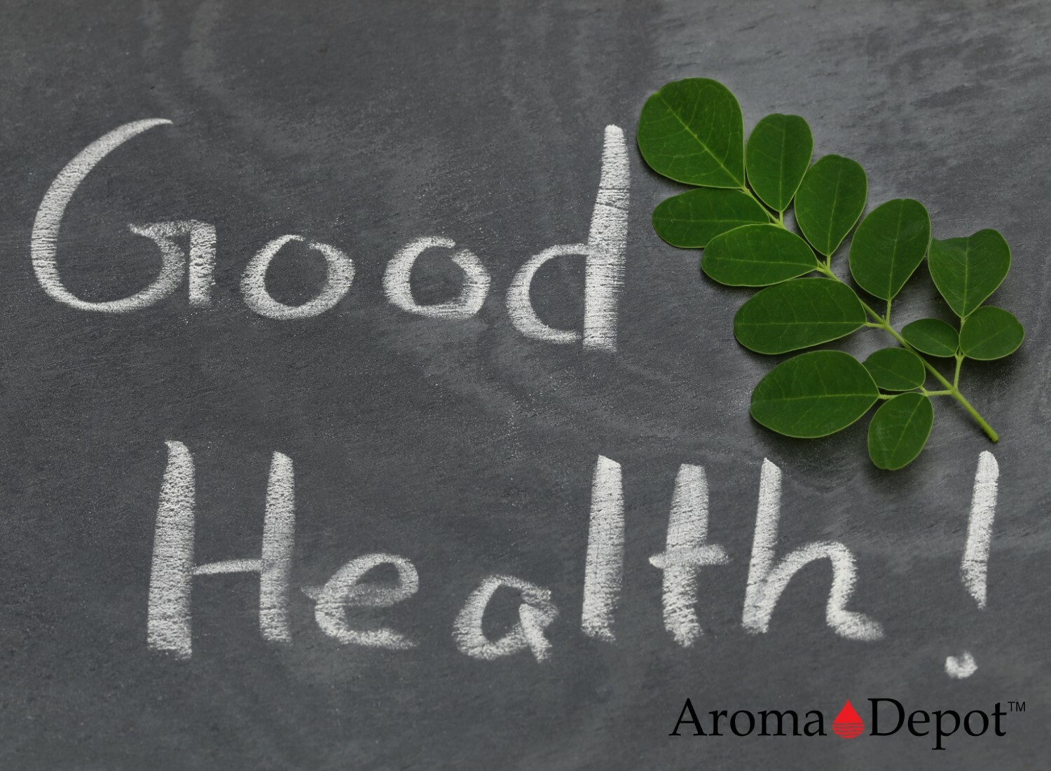 Moringa KERNEL Wholesale Granos de Semillas de Moringa oleifera Malunggay Seeds