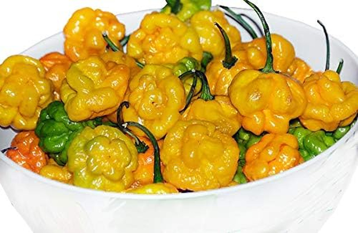 30 Yellow Scotch Bonnet Jamaican Hot Pepper Seeds Heirloom Non-Gmo Super Hot