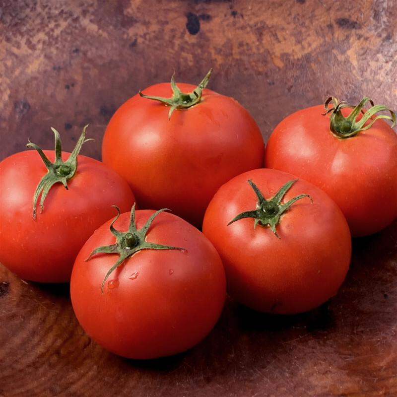 Abe Lincoln Tomato (30) Heirloom / NON-GMO / ORGANIC / FL GROWN