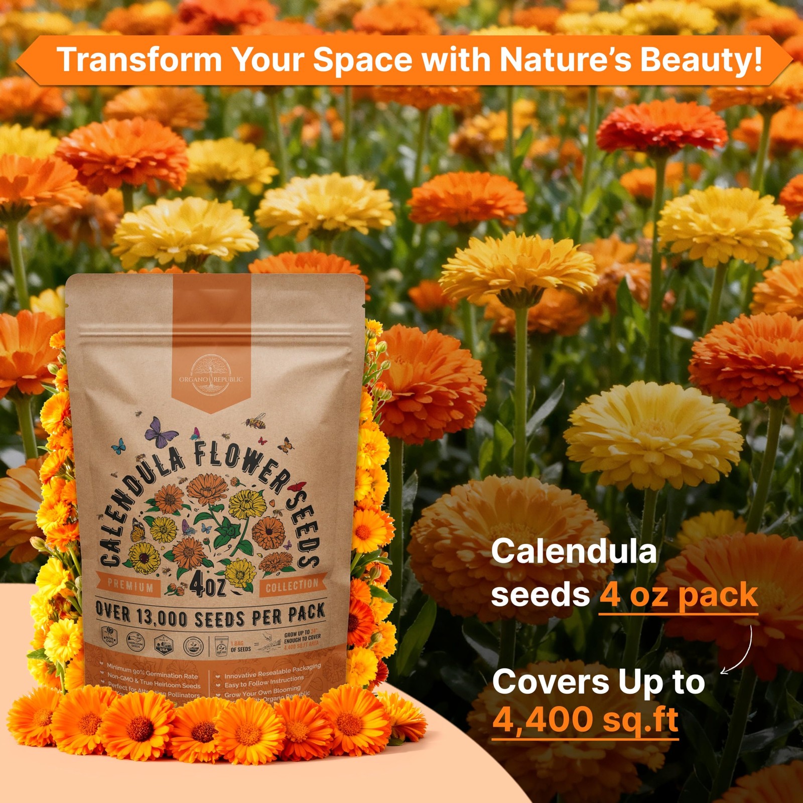 Calendula Seeds Pack 4 oz – Over 13,000 4oz, Orange, Yellow, Red, Green