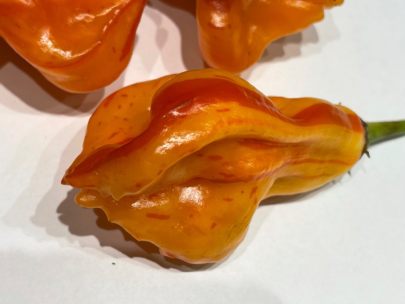 Golden Cayenne Pepper Seeds – 2025 Harvest – 25+ Seeds – Non-GMO