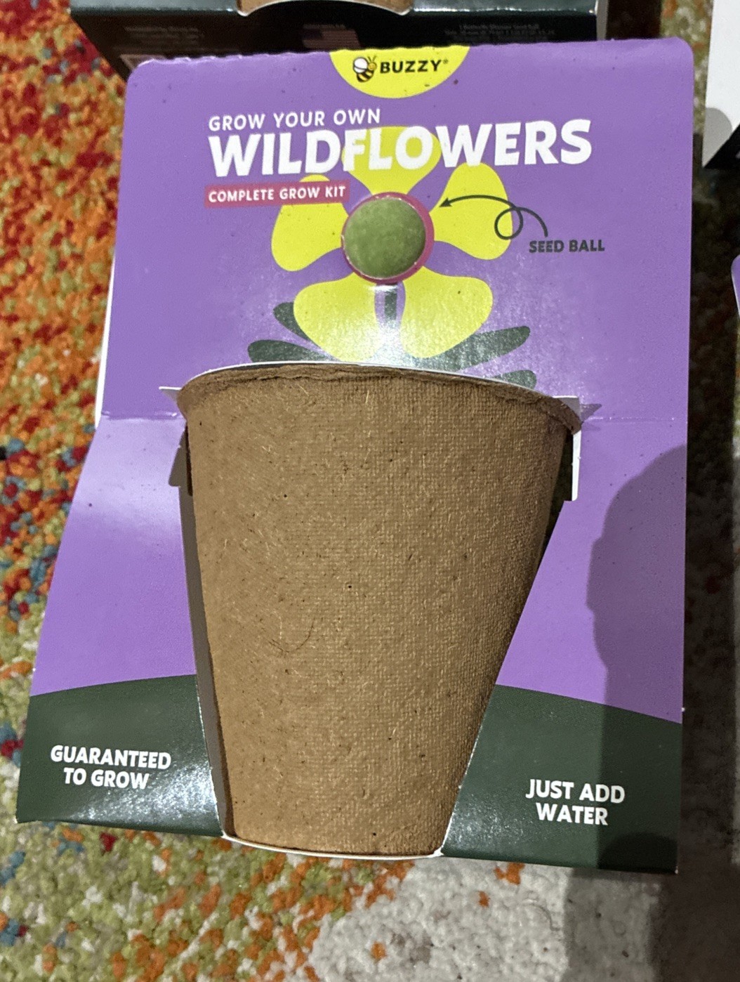 BUZZY Seeds Mini Pots 6 Pack with Plant Seeds For Wild Flowers!