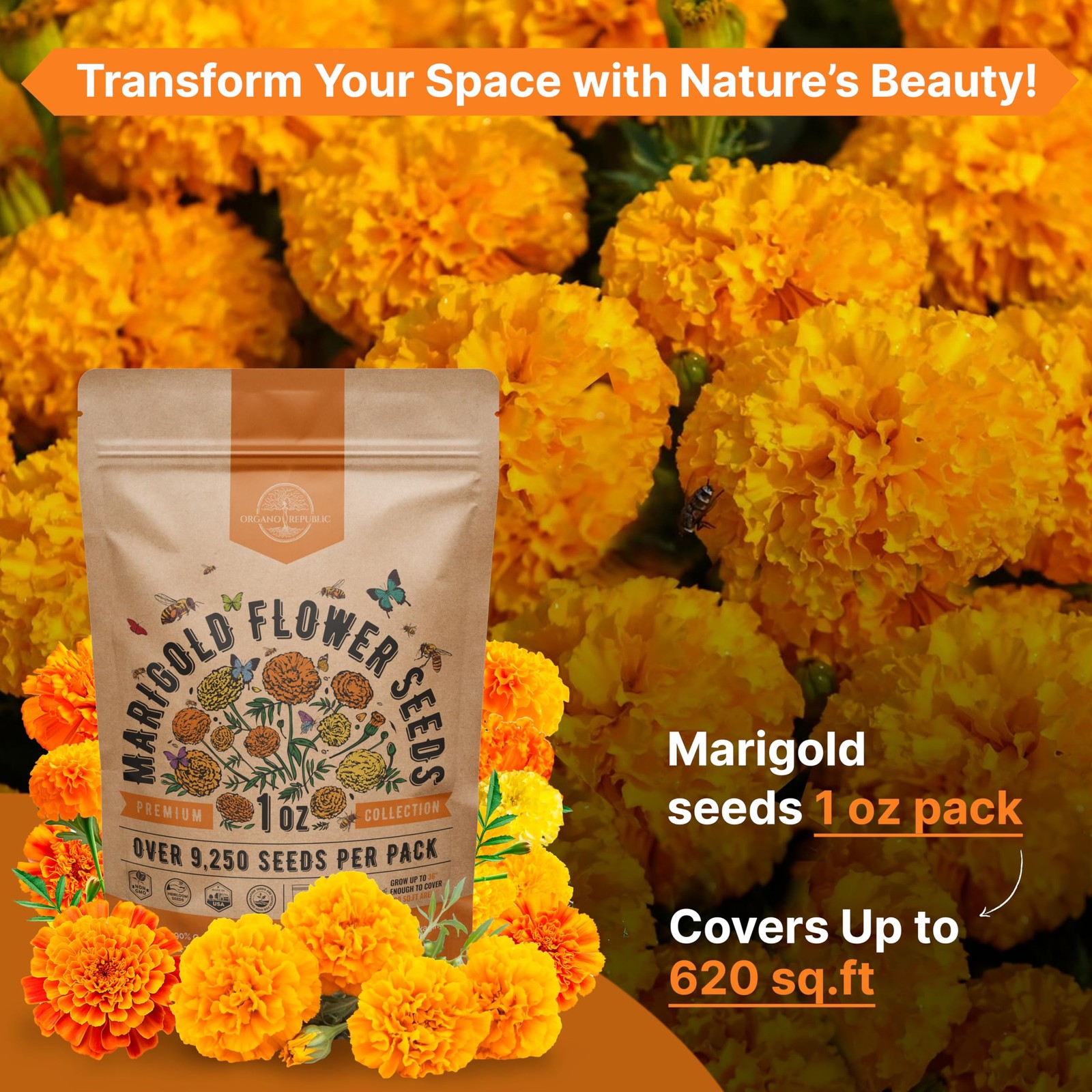 Marigold Seeds Pack 1 oz – Over 1oz, Orange, Yellow, Red, Green