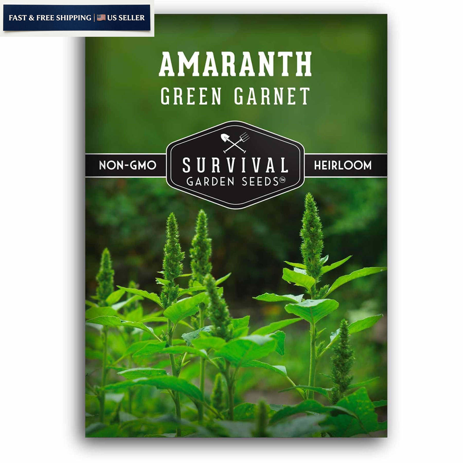 Green Garnet Amaranth Seeds for Planting – Callaloo Leafy Greens green, red
