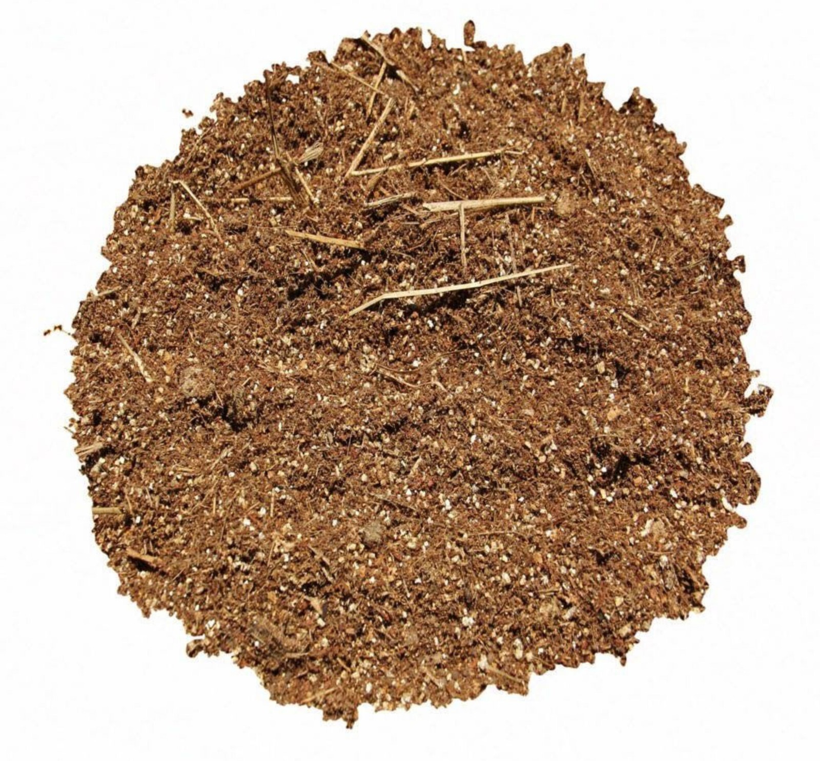 Premium Exotic Dung ALL-IN-ONE Mushroom Grow Kit 1 Pack Kit 3.5lb Bag (OATS) 🍄