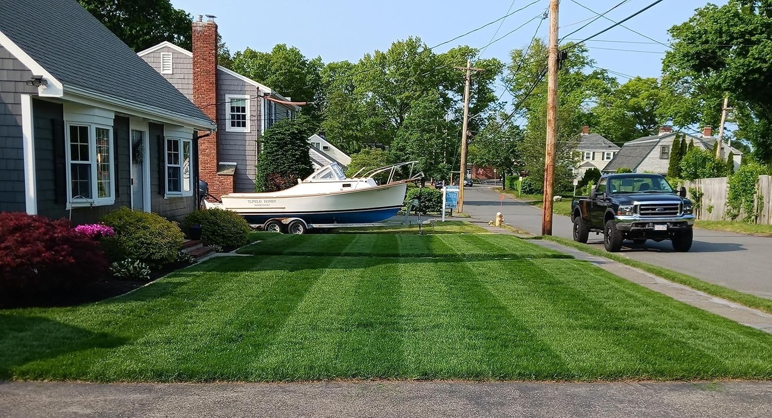 Traffic Tolerant Grass Seed Mix for Quick Establishment and Versatile Use