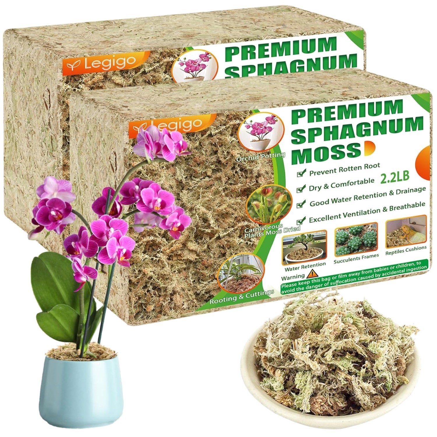 Natural Succulent Moss – 80QT Dried Plant Moss for Gardening