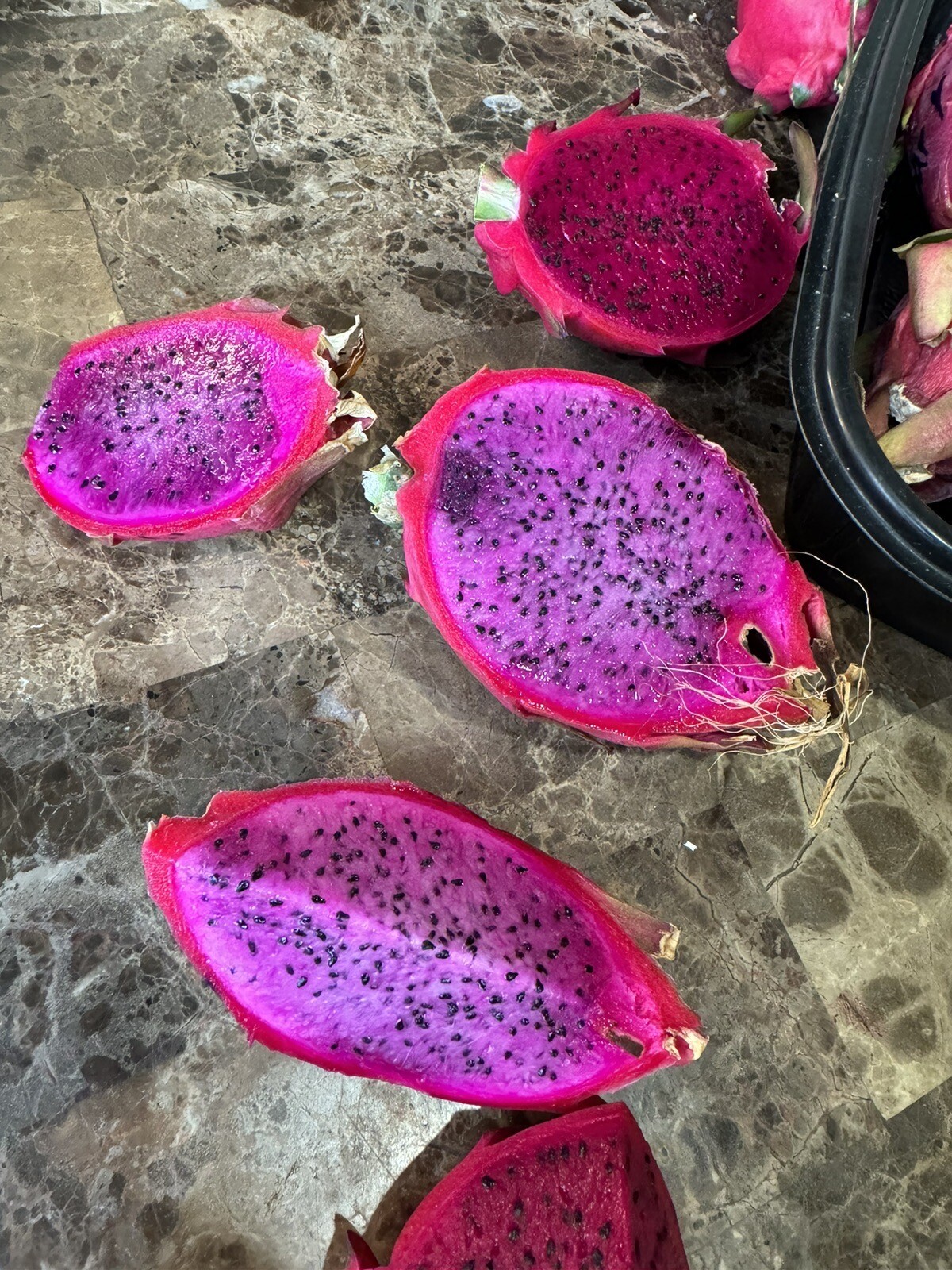 One sweet, Julie, DRAGON FRUIT CUTTING 8- 12 Inches