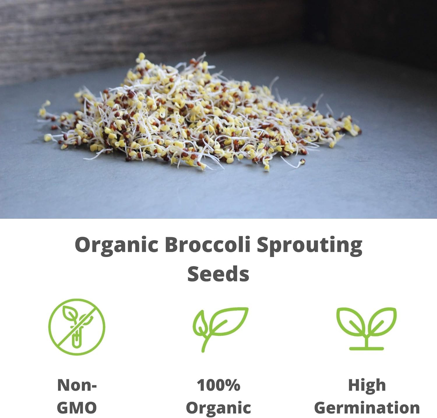 Organic Broccoli Sprouting Seeds 2.5 Lb High Sulforaphane Superfood Non-gmo