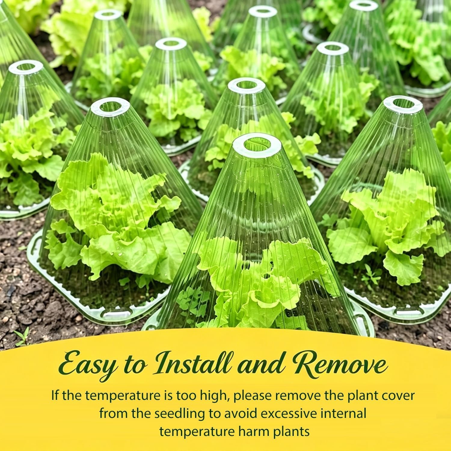 Durable 20-Pack Garden Cloches – Chemical-Free Protection for Healthy Growth