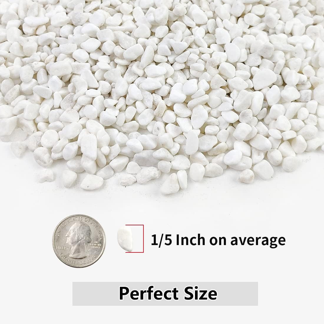 2LB Succulent and Cactus Gravel Pebbles, / Inch White Natural Decorative Polishe