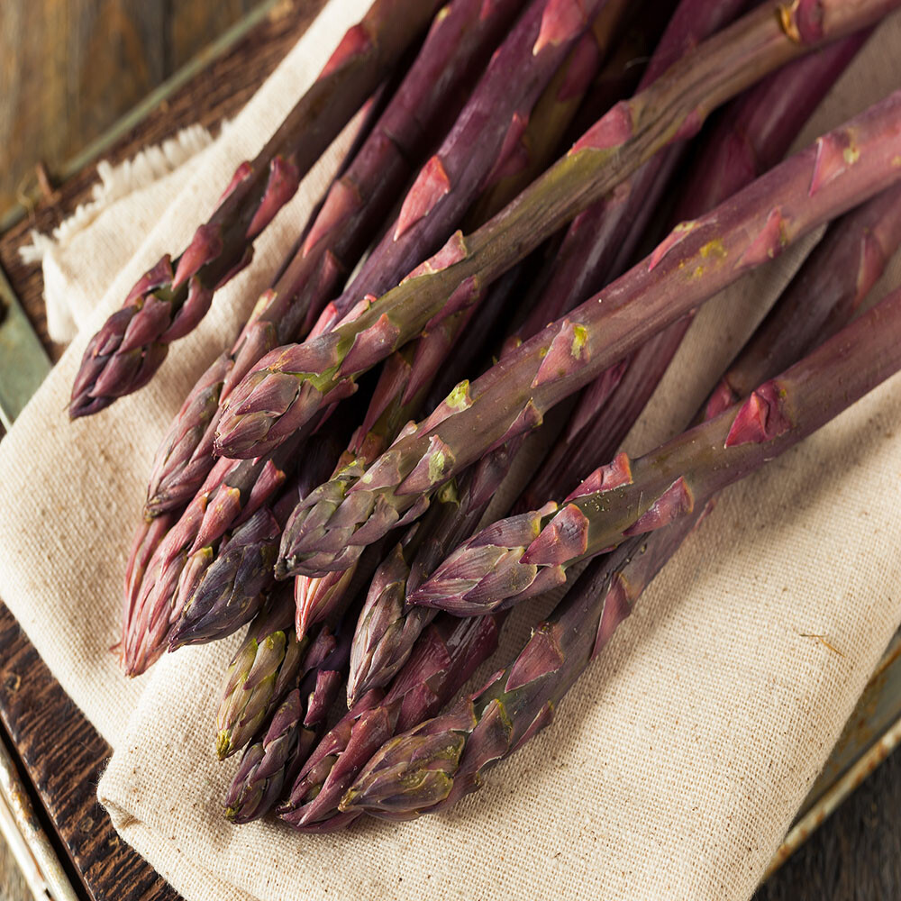 5 Purple Pacific Live Asparagus Bare Roots – 2yr Crowns – Hand Picked Nursery