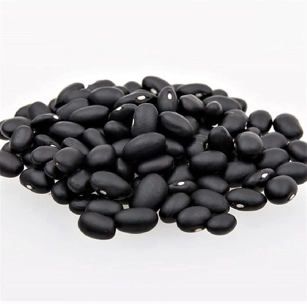 Black Turtle Bush Bean Seeds, Heirloom, Non-GMO, 50 Count, Premium Quality