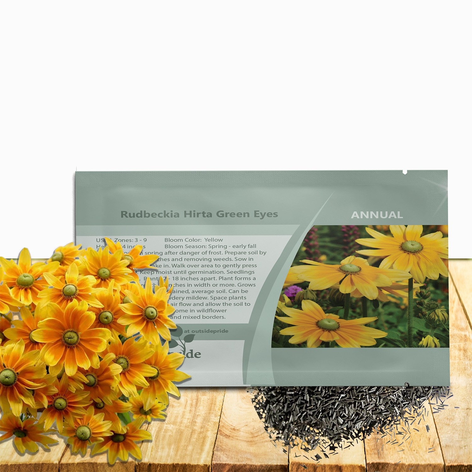 5000 Seeds Rudbeckia Hirta Drought Resistant Green Eyes Rudbeckia Flower Seed