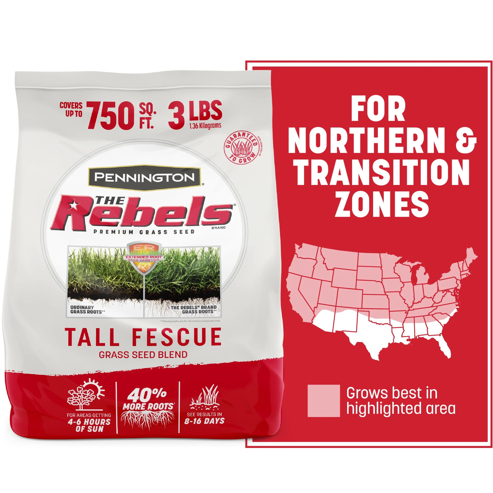 Rebels Tall Fescue Grass Seeds for Lawn, for Sun to Partial Shade, 3 Lb