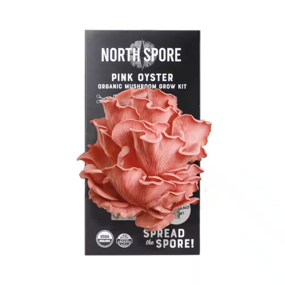 Organic Pink Oyster Mushroom Spray and Grow Kit