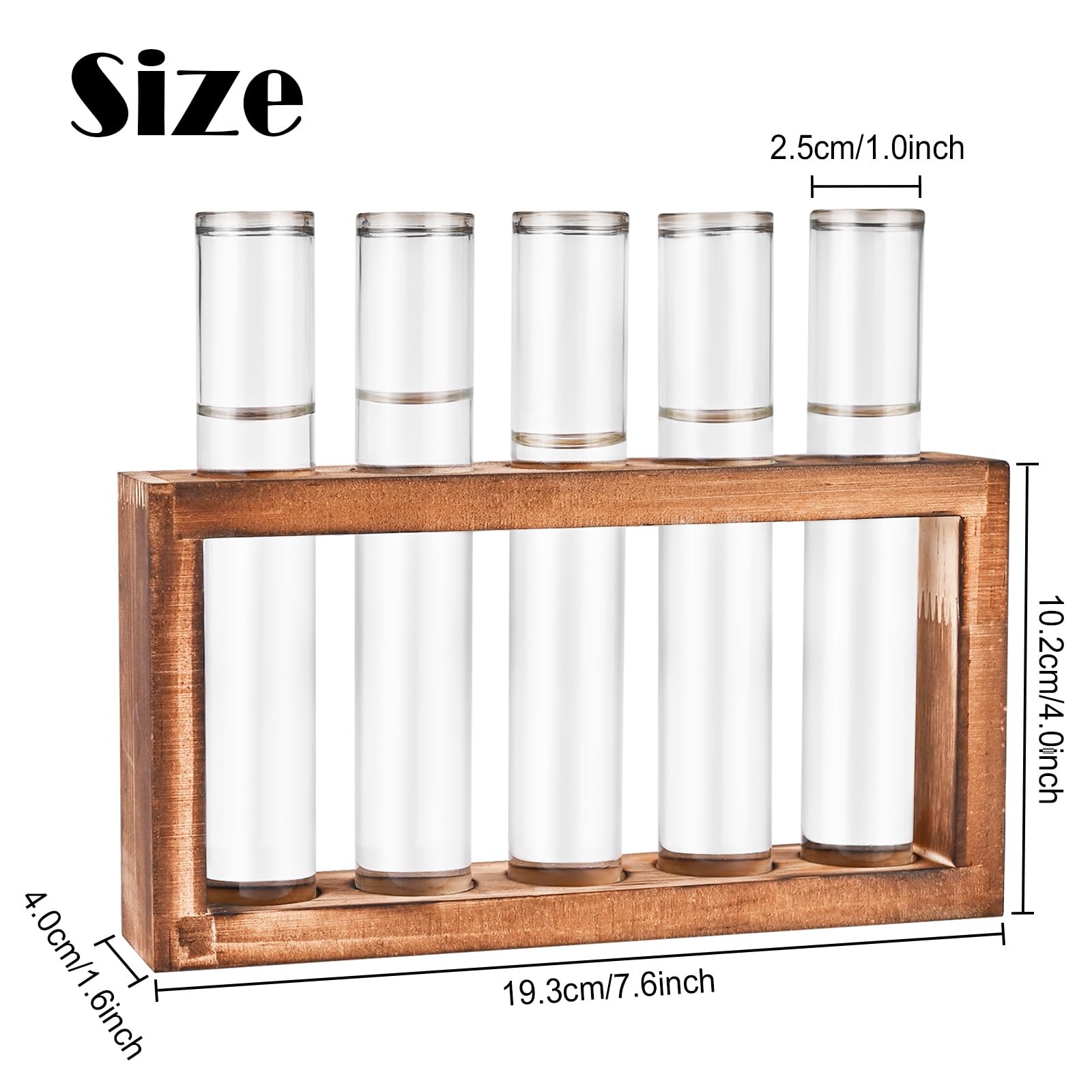 Tigvio Desktop Glass Plant Propagation Station with 5 Test 5 Tubes, Clear