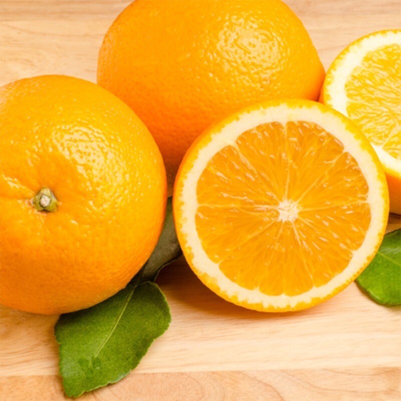 Florida Only!! Glen Navel Orange Tree 26-30”tall, grafted plant