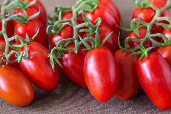 240+ Roma Tomato Seeds – Heirloom – Organic – NON GMO —- FRESH