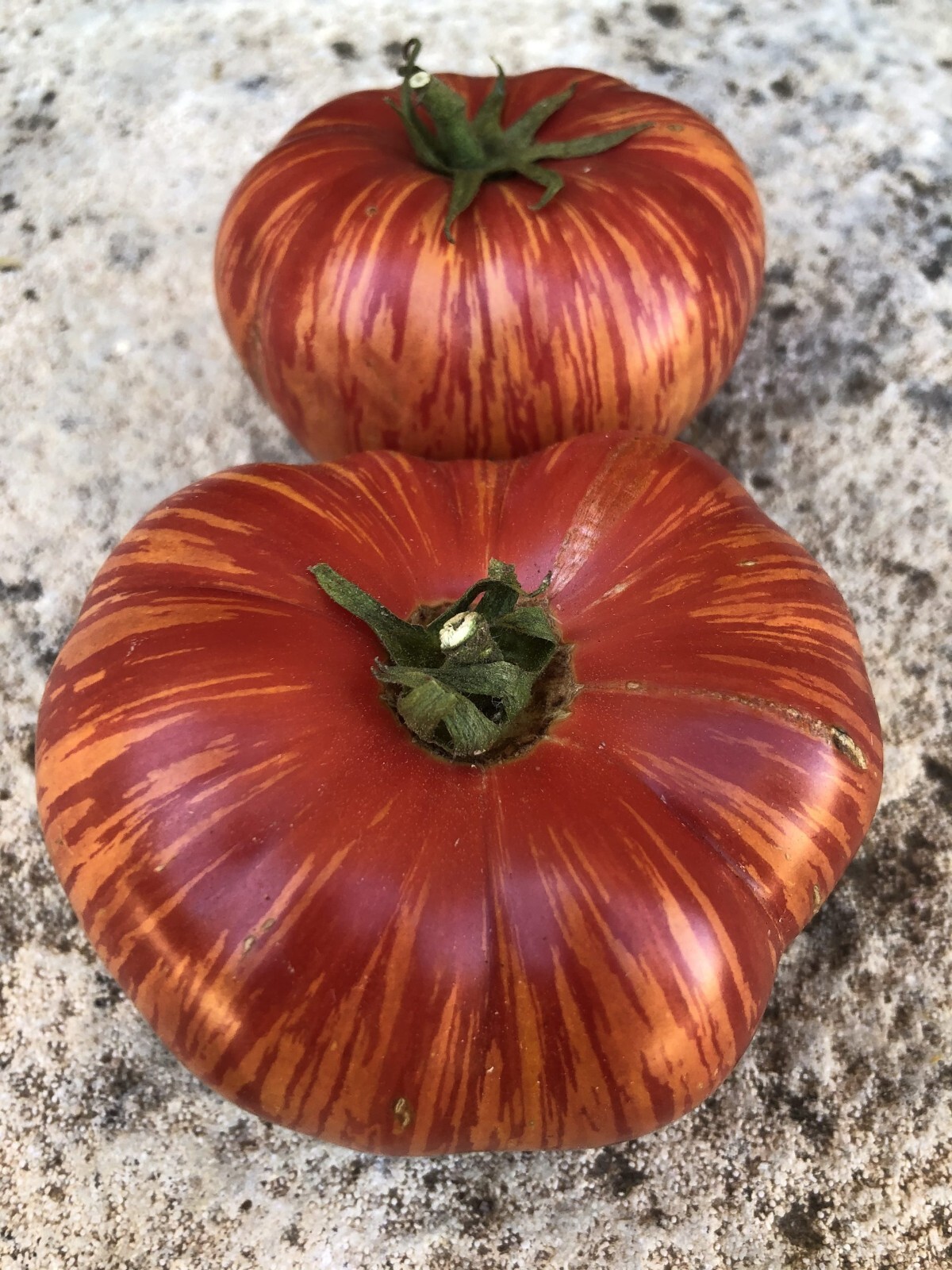 Vintage Wine Tomato, 30 Seeds, NON-GMO, BUY 2 GET 1 FREE, FREE SHIPPING