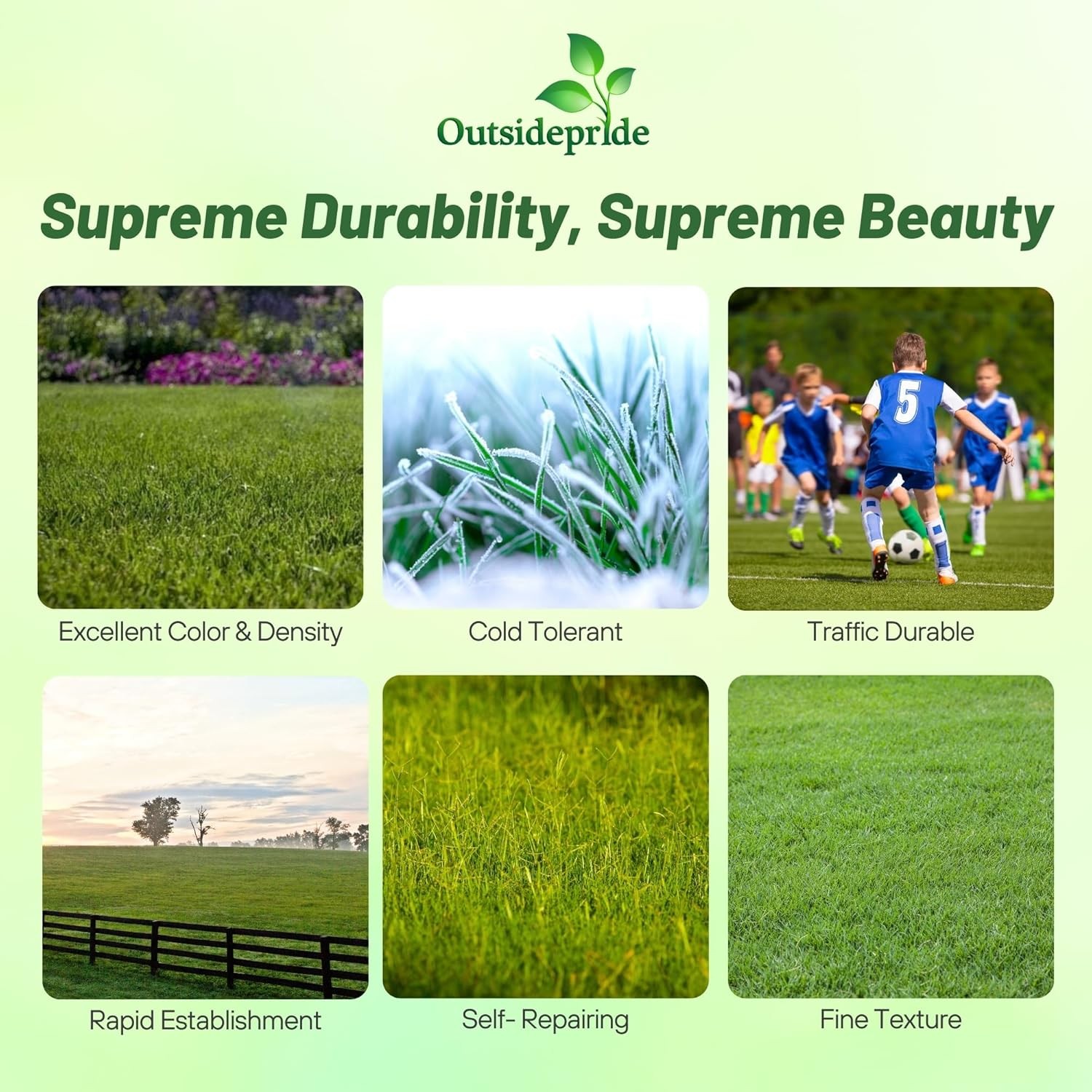 10 LBS – OptiGrowth Coated Kentucky Blue Grass Seed – Kentucky Bluegrass Seed