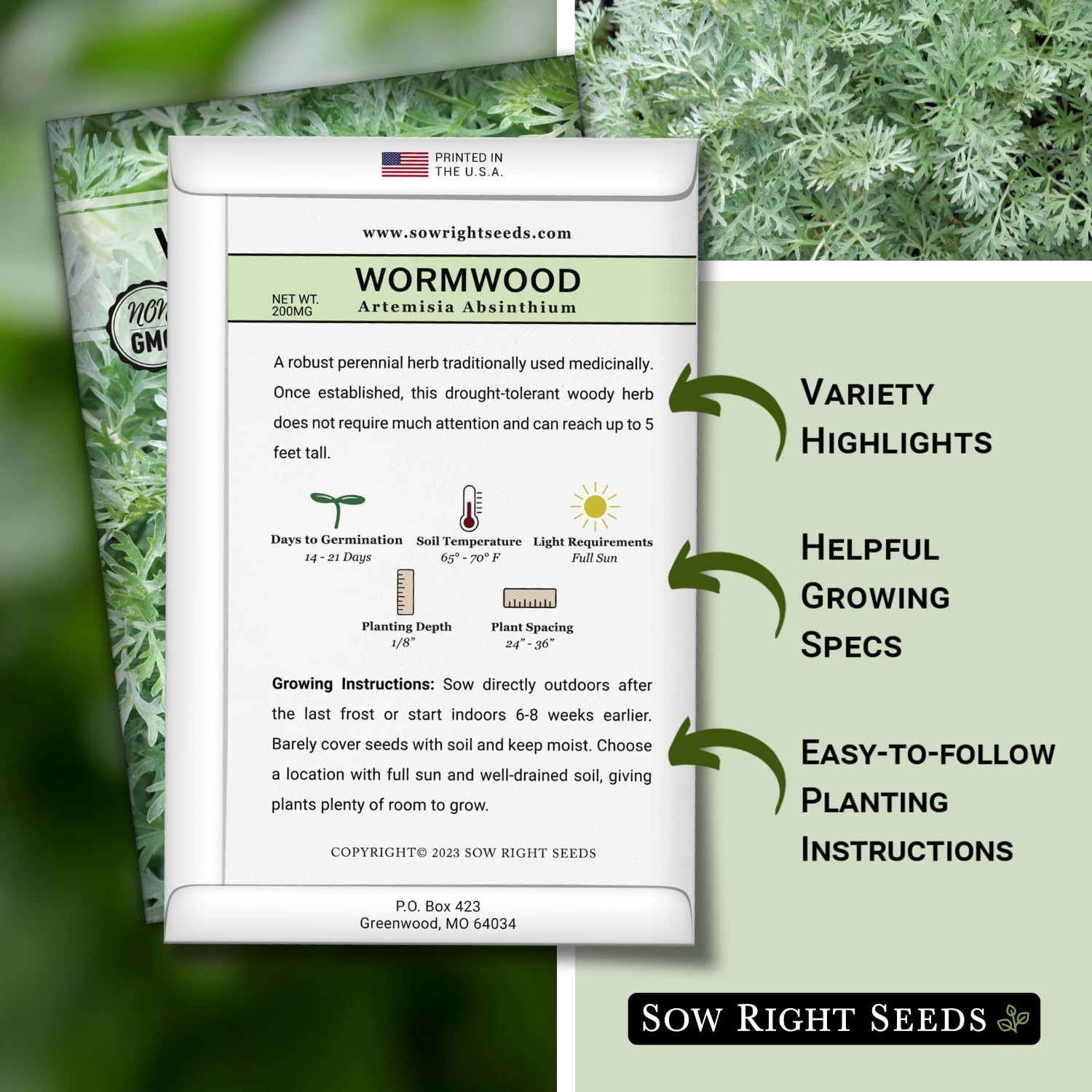 Sow Right Seeds – Wormwood for Planting – Non-GMO Heirloom Packet Green