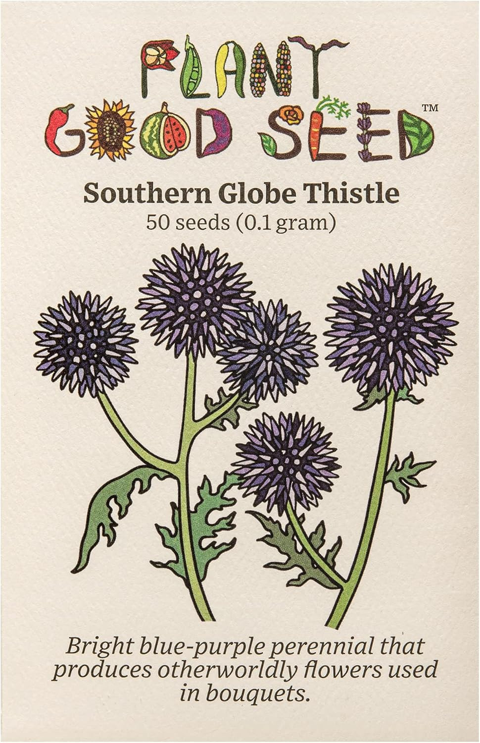Organic Southern Globe Thistle Flower Seeds for Planting