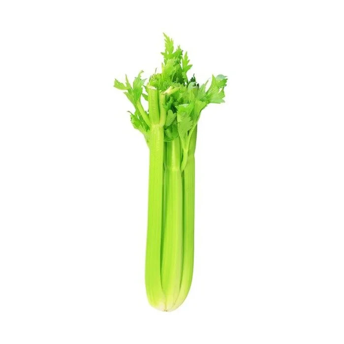 CELERY 20 VEGETABLE SEEDS FREE USA SHIPPING