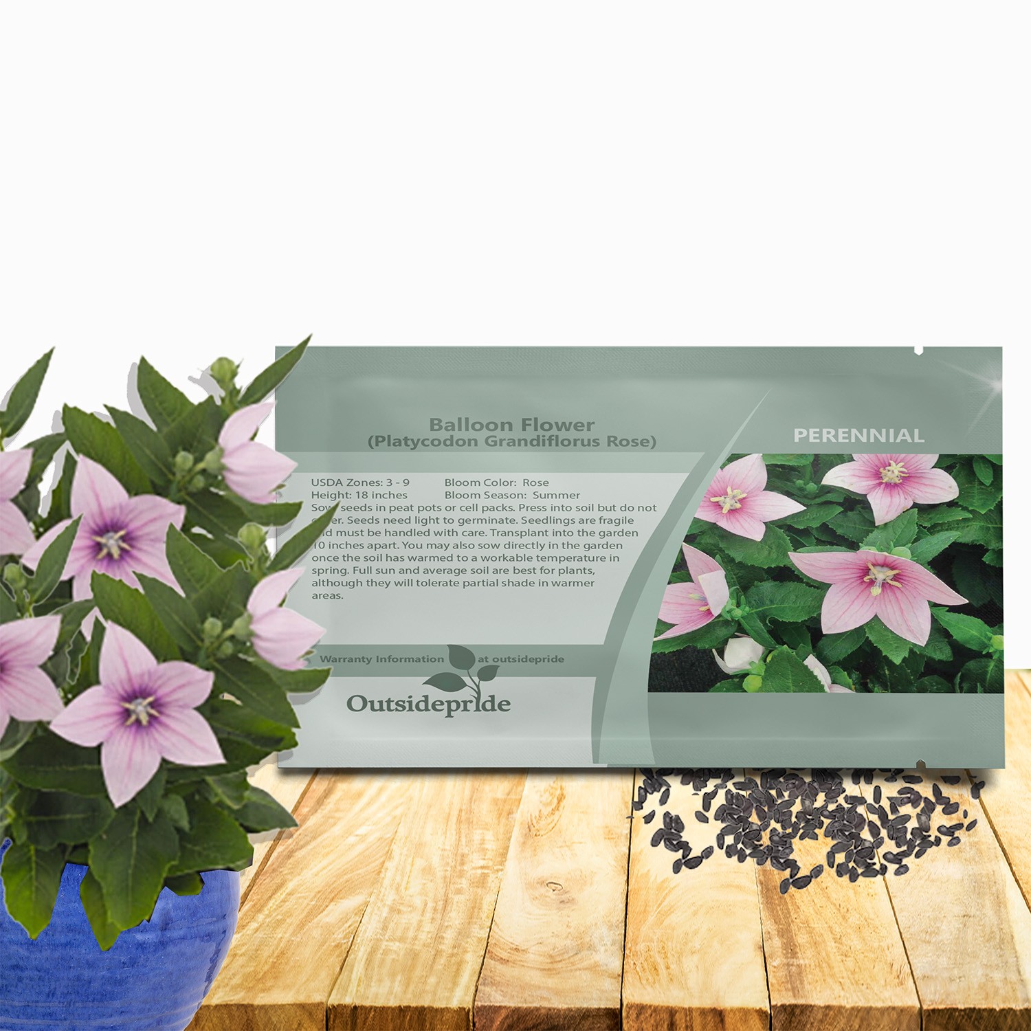 2000 Seeds Balloon Flower Seed – Platycodon Grandiflora Rose Flower Seeds