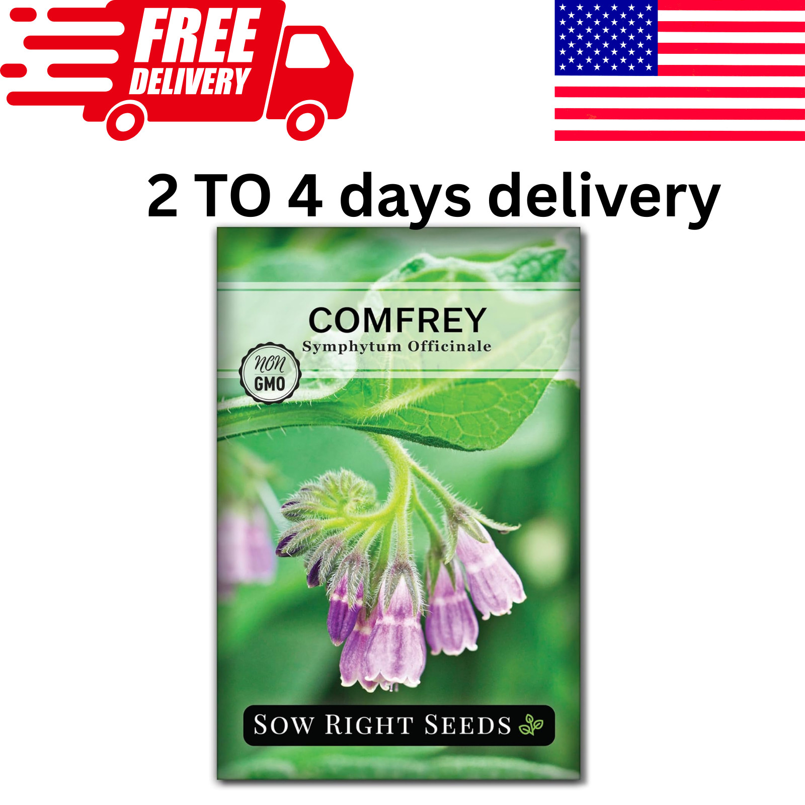 – Comfrey Seeds for Planting – Non-Gmo Heirloom – High-Yield Comfrey for Garden,