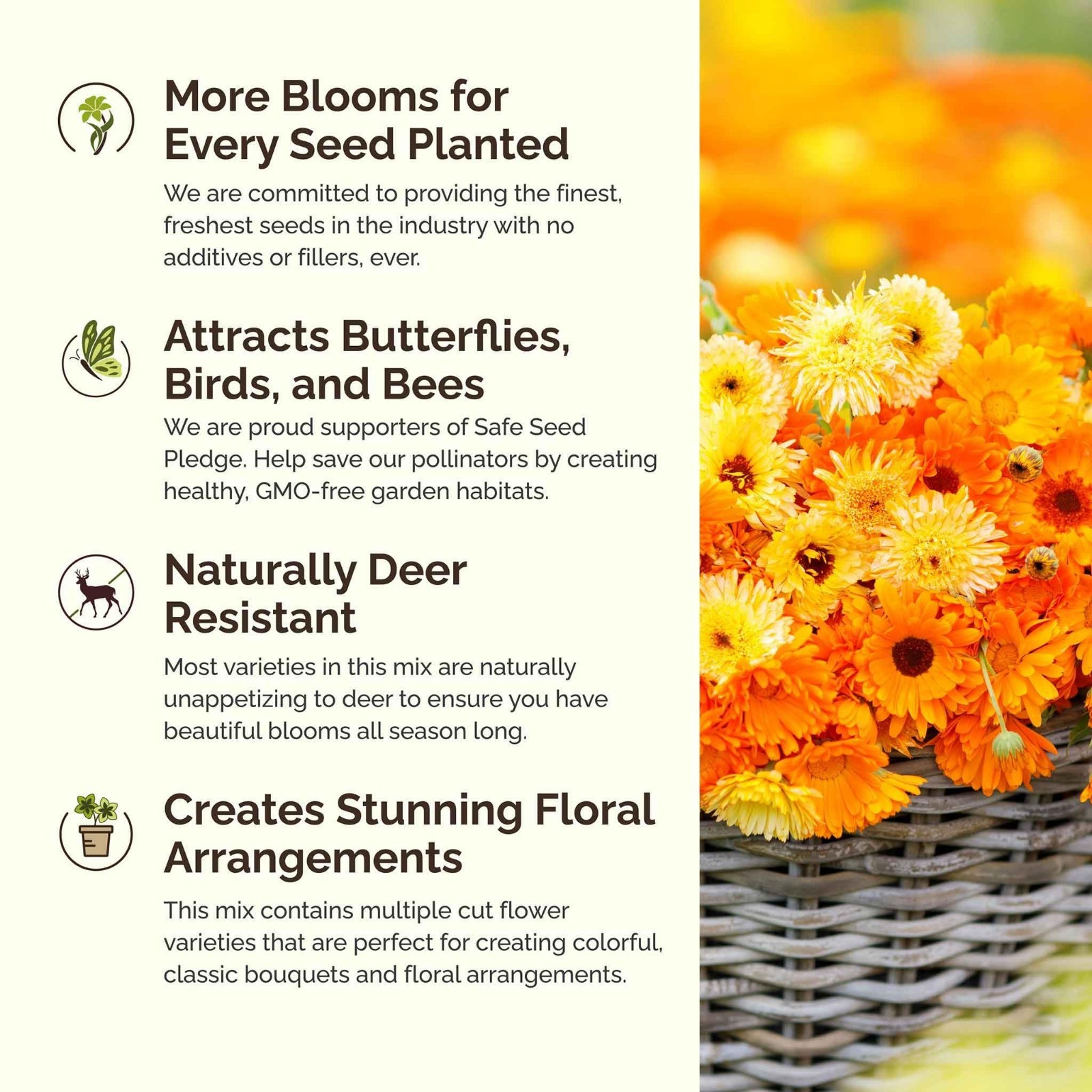 Partial Shade Wildflower Seed Mix – 120,000+ Seeds, Attracts Pollinators, Plant