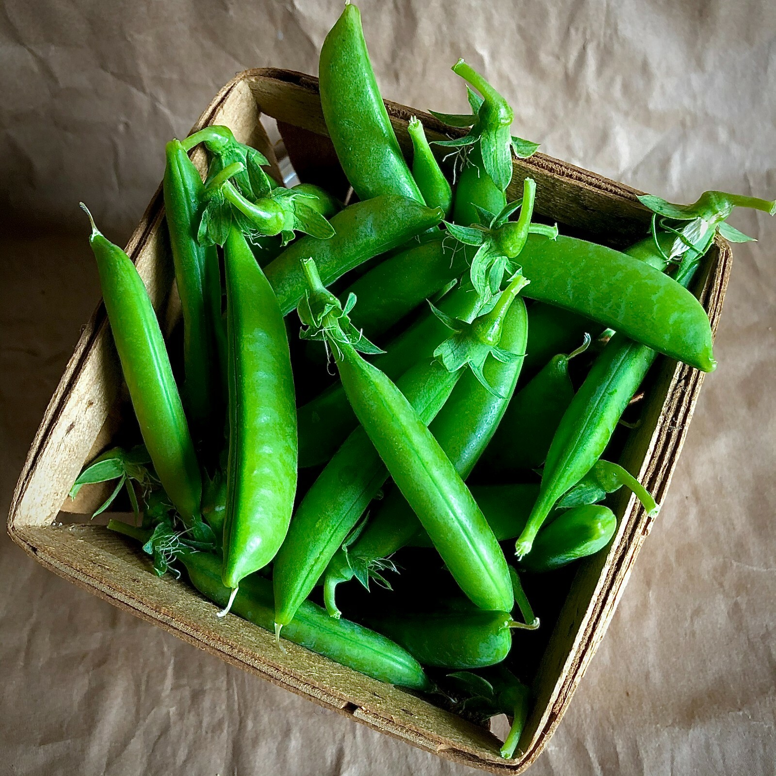 100+ Sugar Snap Pea Seeds HEIRLOOM-NON-GMO, Always Fresh Seeds for Your Garden