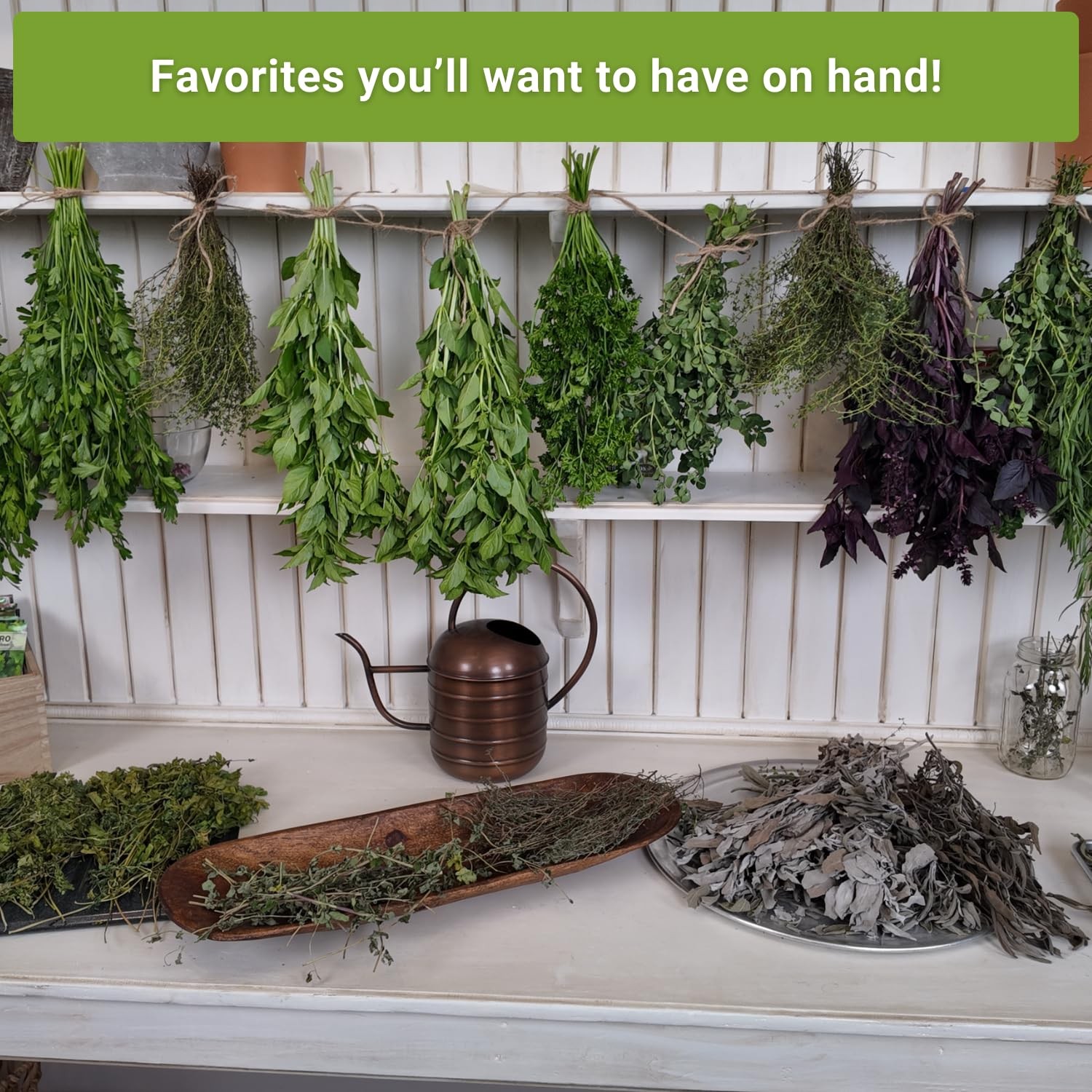 Sow Right Seeds – Perennial Herb Garden Seed Collection – Mint, Lavender, Mix