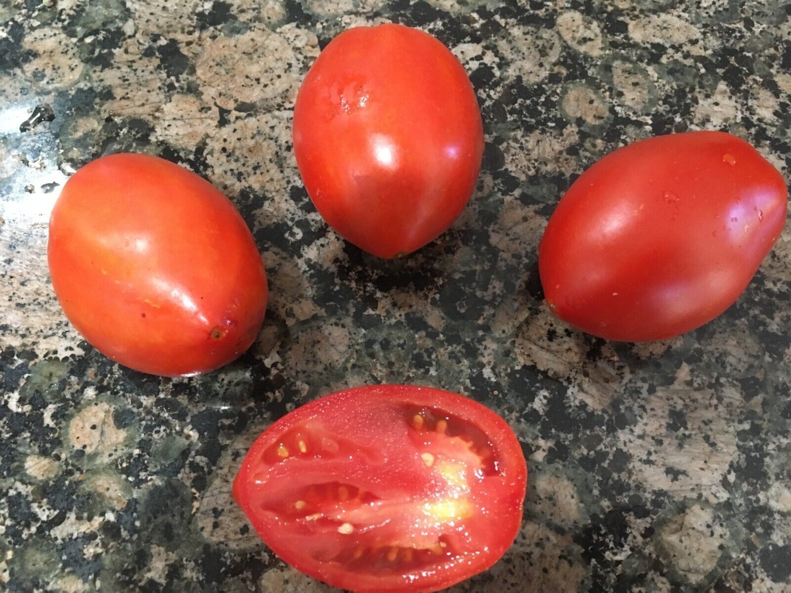 25 Amish Paste Tomato seeds, organically grown, FREE S/H