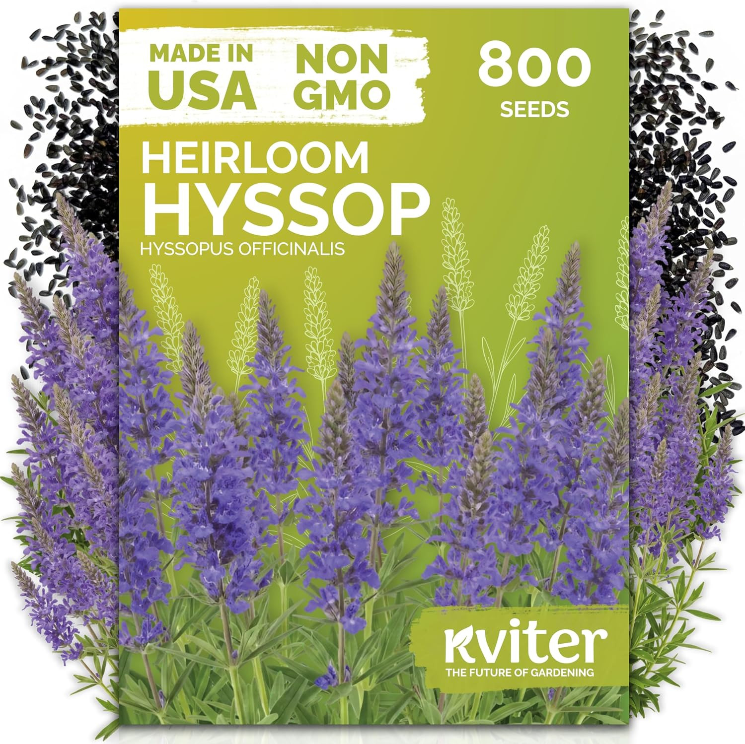 1,500 Mullein Seeds for Planting (Verbascum Thapsus) – Mullein Herb, Heirloom Se