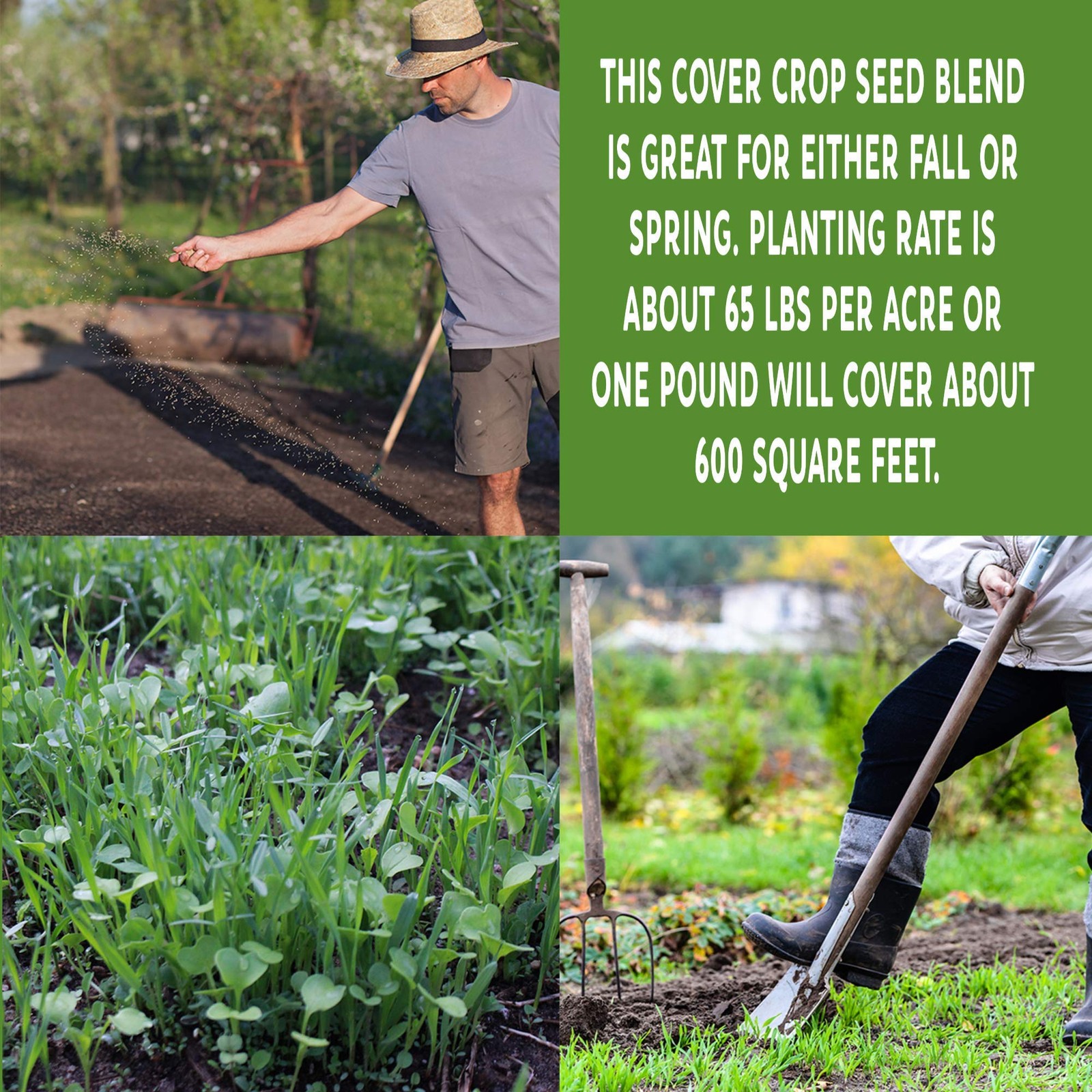 5 Lb Bag Brown Cover Crop Seed Mix Non Gmo Heirloom Soil Enrichment Blend