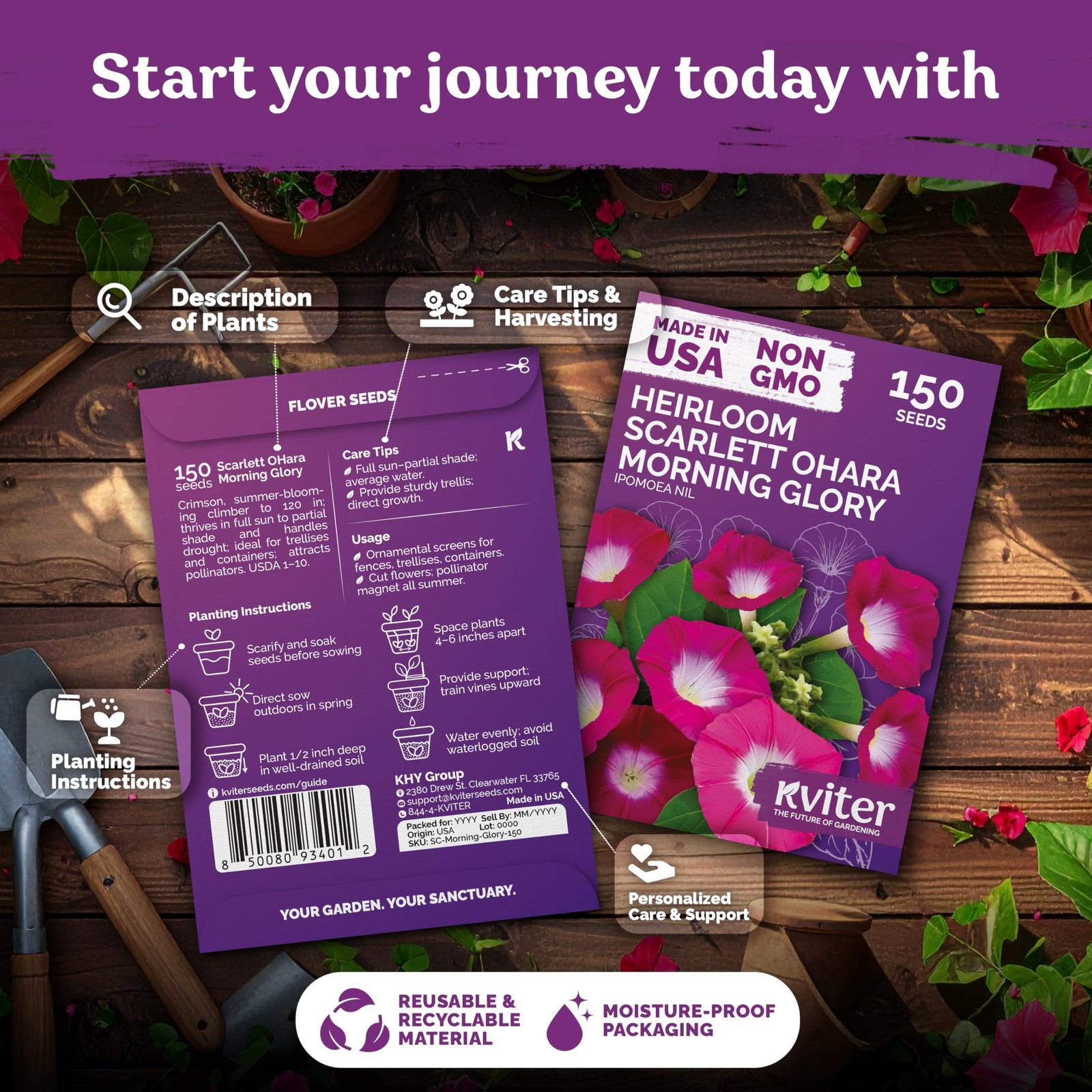 KVITER 150 Scarlett O’Hara Morning Glory Seeds for Planting (Ipomoea nil)