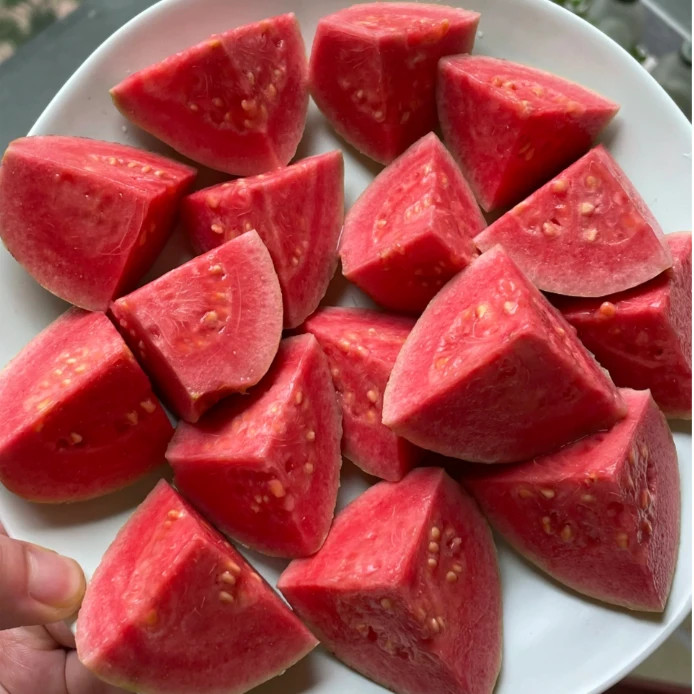 50 Red Guava Seeds – Tropical Fruit Tree with Sweet Pink Flesh for Home Garden