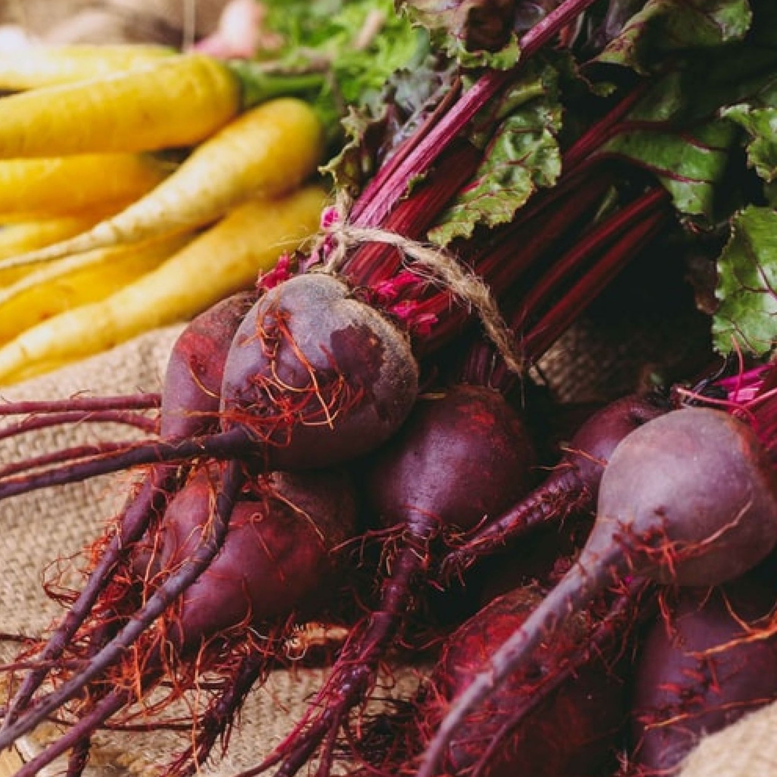 Detroit Dark Red Beets – Seeds – Organic – Non Gmo – Heirloom Seeds